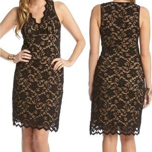 Karen Kane lace overlay dress Black Nude V-Neck Scallop Stretch M sleeveless